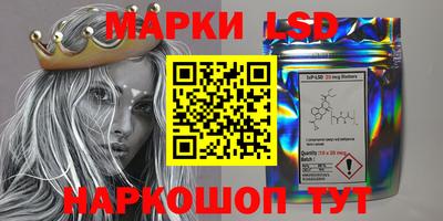 твердый Кингисепп