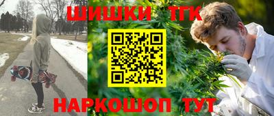 твердый Кингисепп