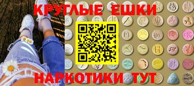твердый Кингисепп