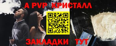 твердый Кингисепп
