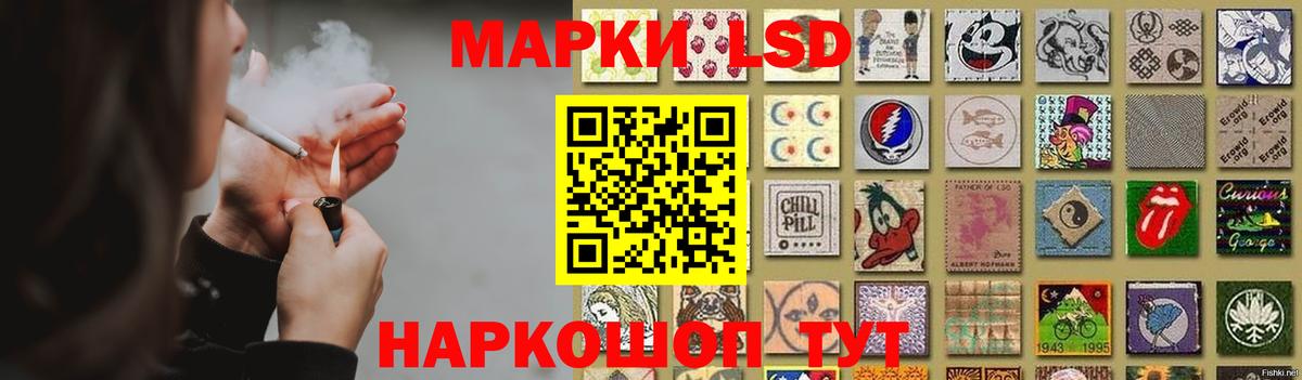 Курчалой  ЛСД экстази кислота  Лсд 25 экстази  ЛСД экстази кислота  Вход с VPN 